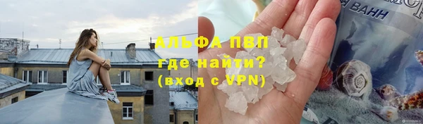 стаф Верея