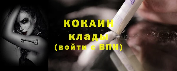 стаф Верея