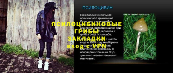 ALPHA-PVP Верхний Тагил