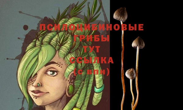 стаф Верея