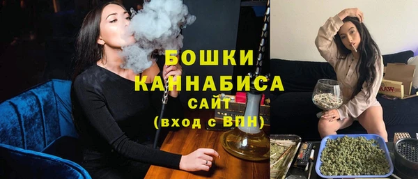 стаф Верея