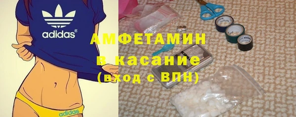 стаф Верея
