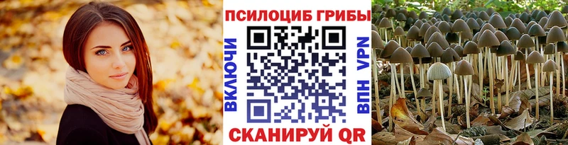 мега ONION даркнет сайт Кемерово Галлюциногенные грибы GOLDEN TEACHER