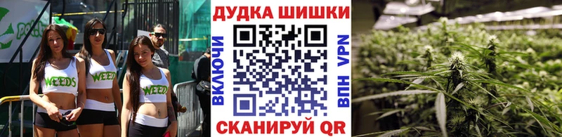 Бошки марихуана SATIVA & INDICA  кракен   Кемерово 