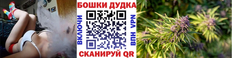 МАРИХУАНА семена Кемерово